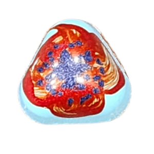 Globally Inspired Collection