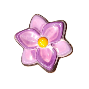 Apricot / Lemon / Basil / Mint with Dark Ganache